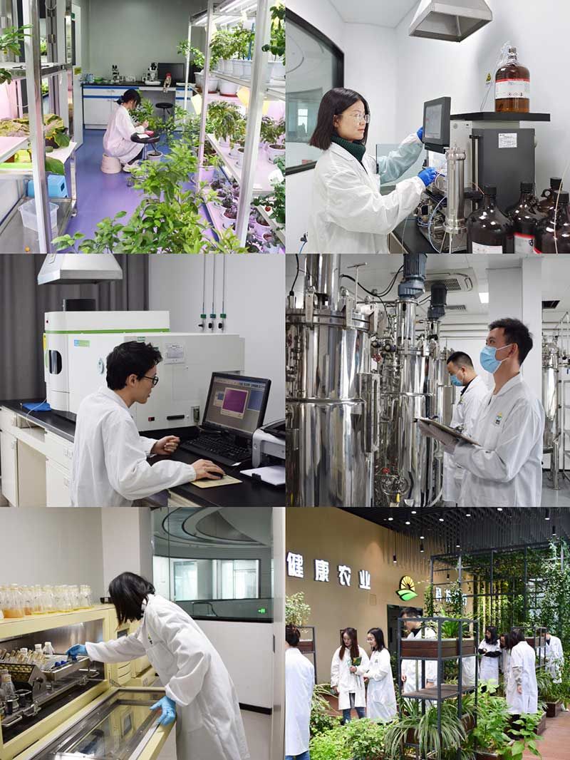 “全國(guó)科技工作者日”：推動(dòng)農(nóng)業(yè)綠色高質(zhì)量發(fā)展，新朝陽(yáng)科研人在路上