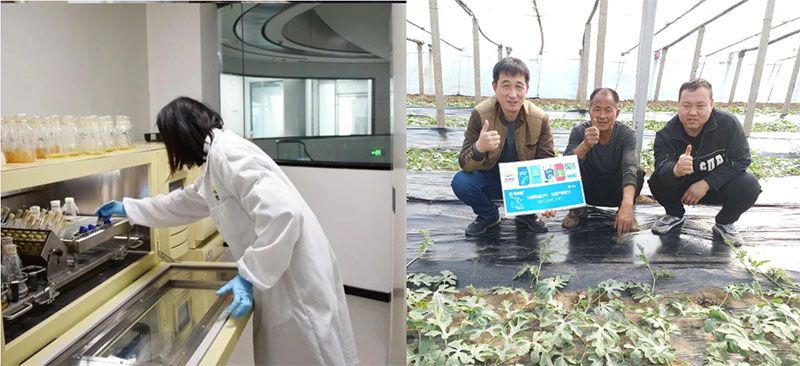 打造新朝陽生物科技“五張名片”，服務(wù)農(nóng)業(yè)高質(zhì)量發(fā)展！